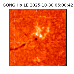 gong - 2025-10-30T06:00:42