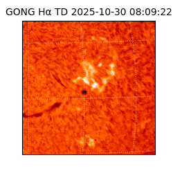 gong - 2025-10-30T08:09:22