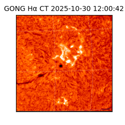 gong - 2025-10-30T12:00:42