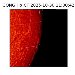 gong - 2025-10-30T11:00:42