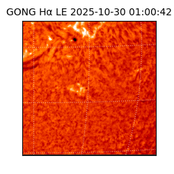 gong - 2025-10-30T01:00:42