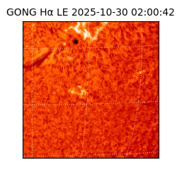 gong - 2025-10-30T02:00:42