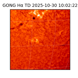 gong - 2025-10-30T10:02:22