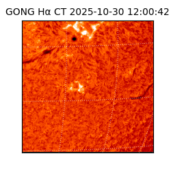 gong - 2025-10-30T12:00:42