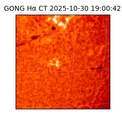 gong - 2025-10-30T19:00:42