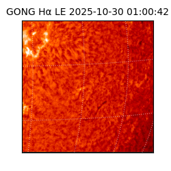 gong - 2025-10-30T01:00:42