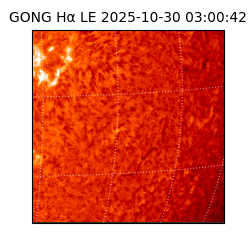 gong - 2025-10-30T03:00:42