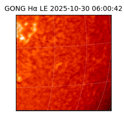 gong - 2025-10-30T06:00:42