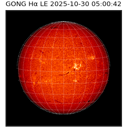 gong - 2025-10-30T05:00:42