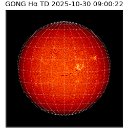 gong - 2025-10-30T09:00:22