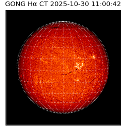 gong - 2025-10-30T11:00:42