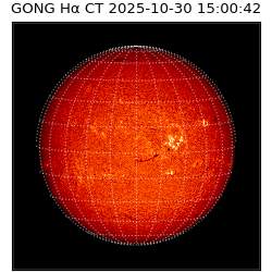 gong - 2025-10-30T15:00:42