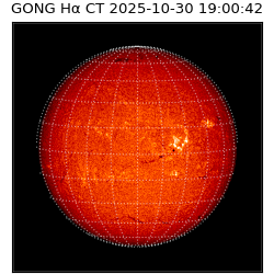 gong - 2025-10-30T19:00:42