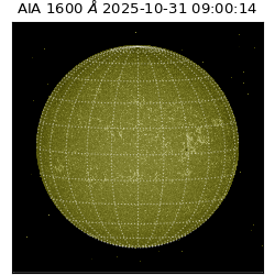 saia - 2025-10-31T09:00:14.132000