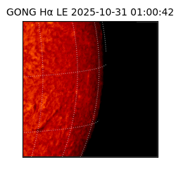 gong - 2025-10-31T01:00:42