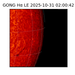 gong - 2025-10-31T02:00:42