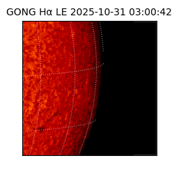 gong - 2025-10-31T03:00:42