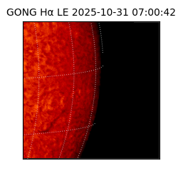 gong - 2025-10-31T07:00:42