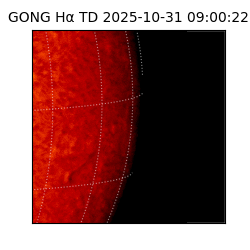 gong - 2025-10-31T09:00:22