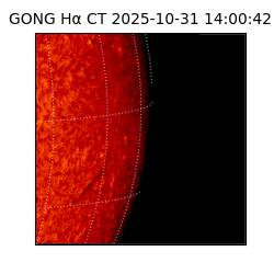 gong - 2025-10-31T14:00:42