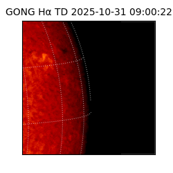 gong - 2025-10-31T09:00:22