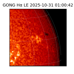 gong - 2025-10-31T01:00:42