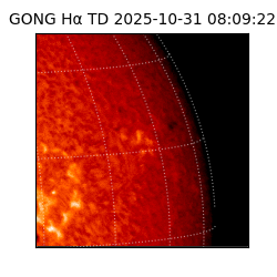 gong - 2025-10-31T08:09:22
