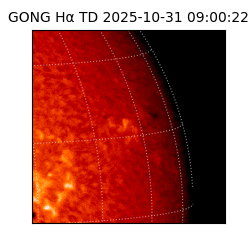 gong - 2025-10-31T09:00:22