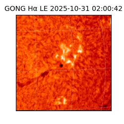 gong - 2025-10-31T02:00:42