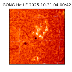 gong - 2025-10-31T04:00:42