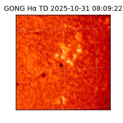 gong - 2025-10-31T08:09:22