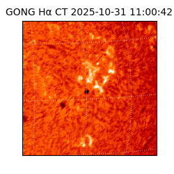 gong - 2025-10-31T11:00:42