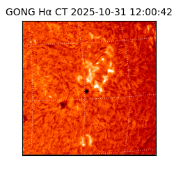 gong - 2025-10-31T12:00:42