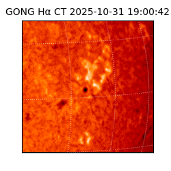 gong - 2025-10-31T19:00:42