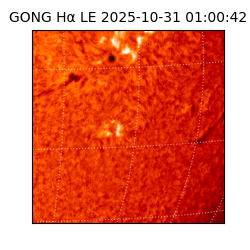 gong - 2025-10-31T01:00:42