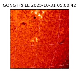 gong - 2025-10-31T05:00:42