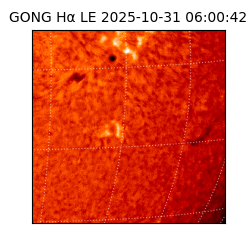 gong - 2025-10-31T06:00:42