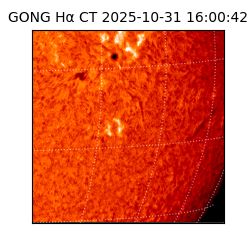 gong - 2025-10-31T16:00:42