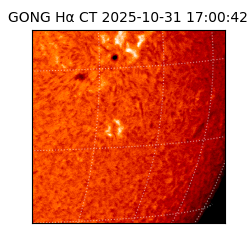 gong - 2025-10-31T17:00:42