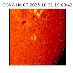 gong - 2025-10-31T19:00:42