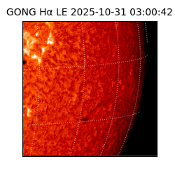 gong - 2025-10-31T03:00:42