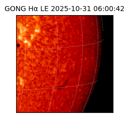 gong - 2025-10-31T06:00:42