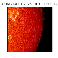 gong - 2025-10-31T13:00:42