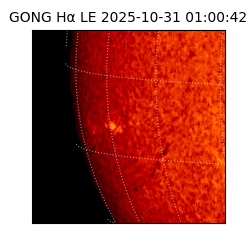 gong - 2025-10-31T01:00:42