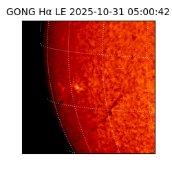 gong - 2025-10-31T05:00:42