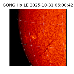gong - 2025-10-31T06:00:42