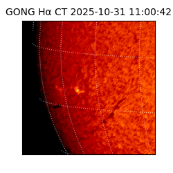 gong - 2025-10-31T11:00:42