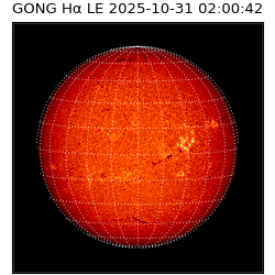 gong - 2025-10-31T02:00:42