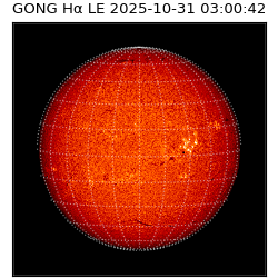 gong - 2025-10-31T03:00:42