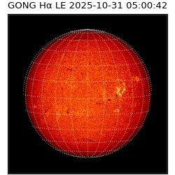 gong - 2025-10-31T05:00:42